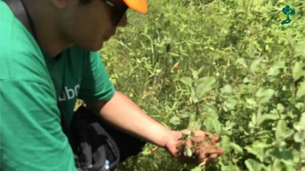 SustainabiliTree PT KAI