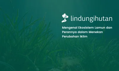 ekosistem lamun