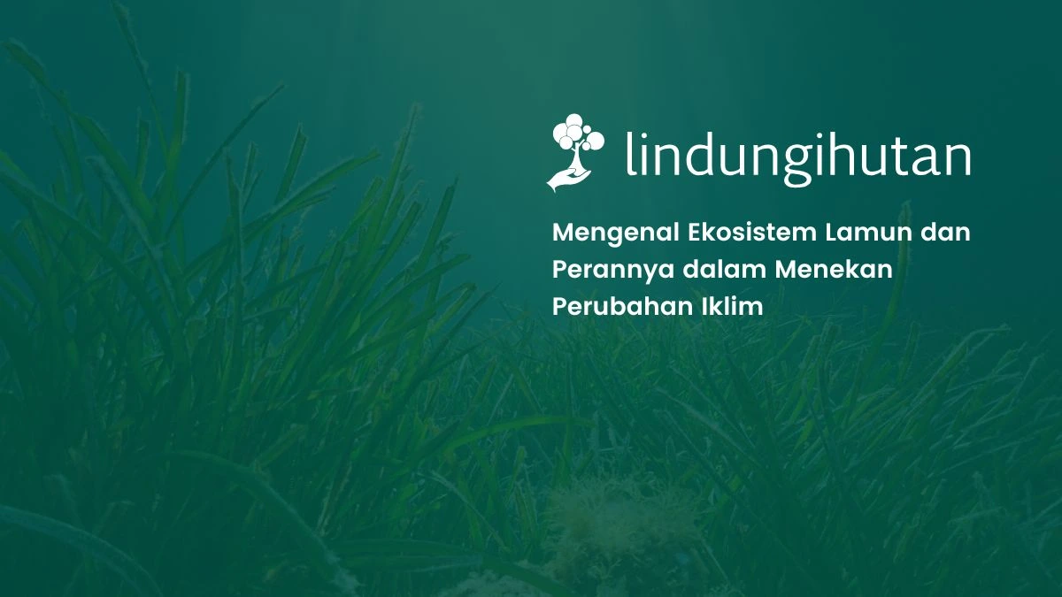ekosistem lamun
