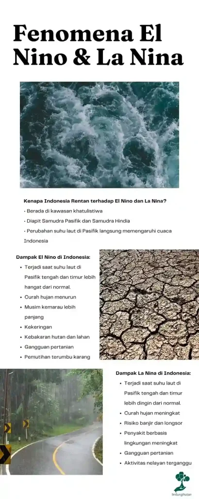 el nino dan la nina_11zon