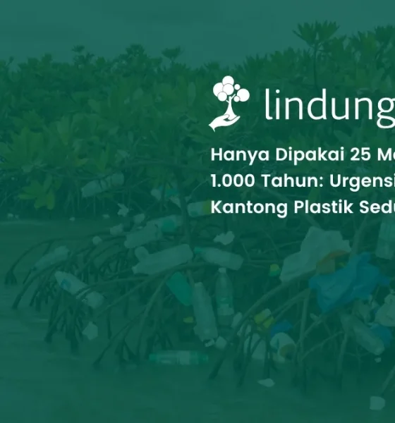 hari bebas kantong plastik sedunia 2026