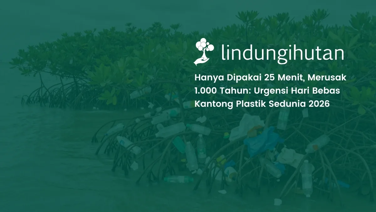 hari bebas kantong plastik sedunia 2026