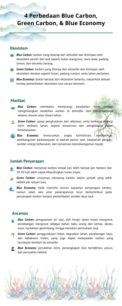 4 Perbedaan Green Carbon, Blue Carbon, & Blue Economy 82 infografis blue carbon, green carbon, blue economy