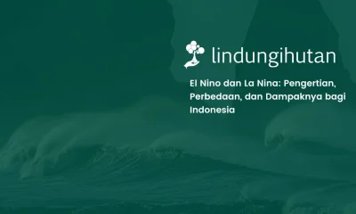 el nino dan la nina_11zon