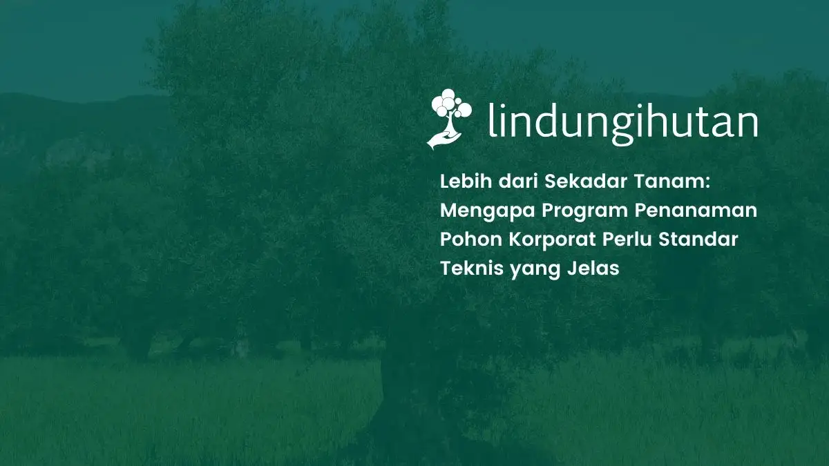 program penanaman pohon_11zon (1)