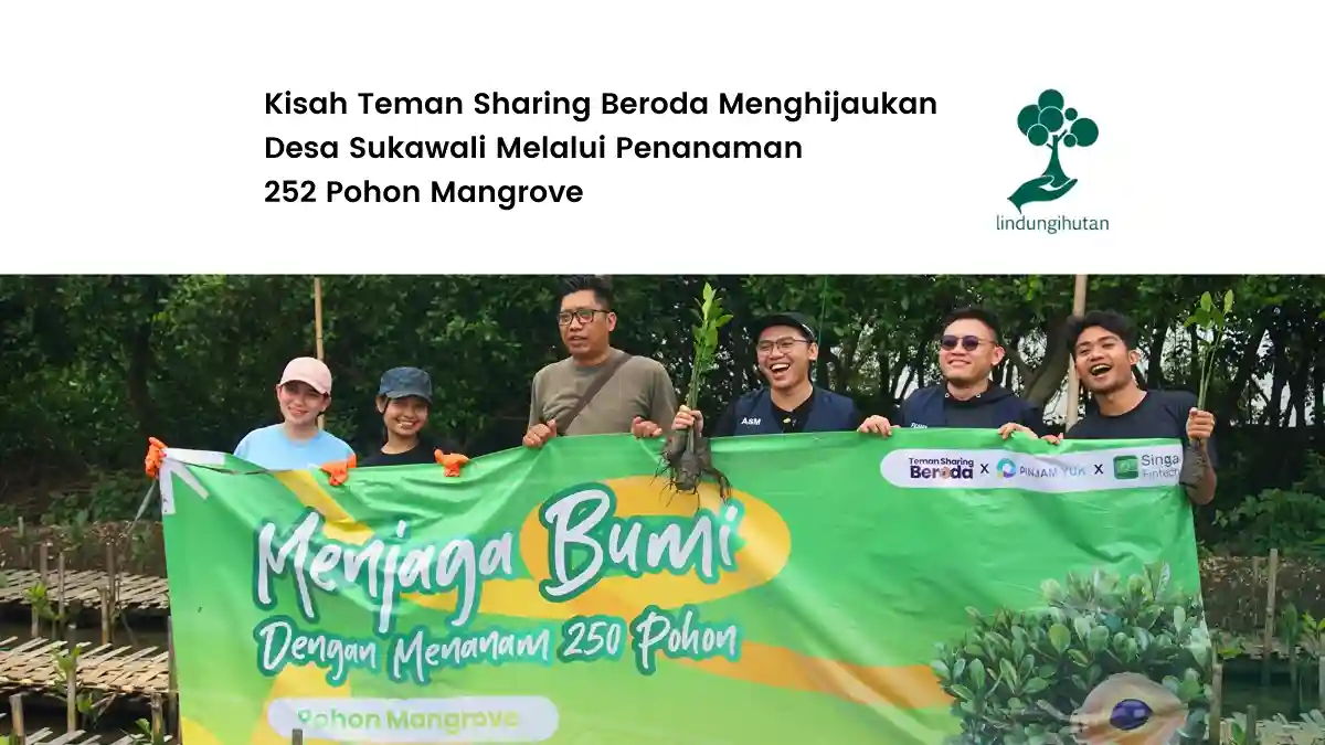 teman sharing beroda tanam mangrove di desa sukawali tangerang
