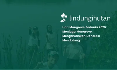Hari Mangrove Sedunia 2026: Kenali Jenis, Manfaat, dan Cara Menanamnya