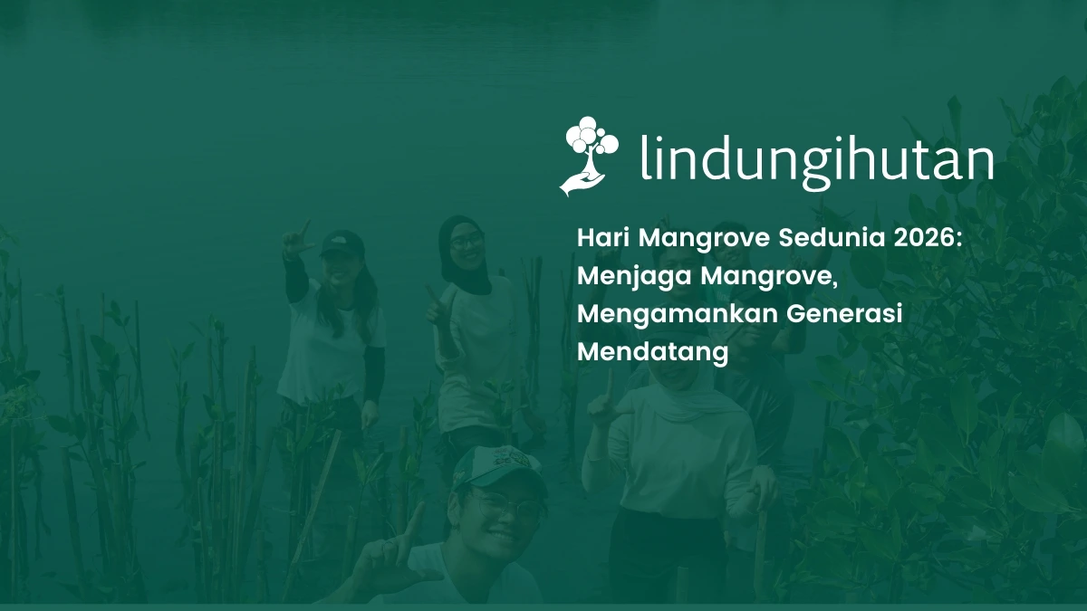 Hari Mangrove Sedunia 2026: Kenali Jenis, Manfaat, dan Cara Menanamnya