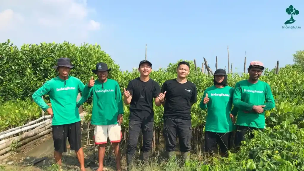 Menjaga Tambakrejo Semarang, Hanafi Girindra Tanam 141 Pohon Mangrove 85 hanafi girindra penanaman pohon mangrove di tambakrejo semarang
