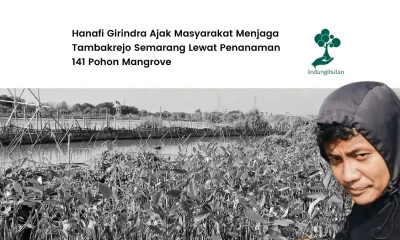 hanafi girindra tanam mangrove di pesisir tambakrejo semarang