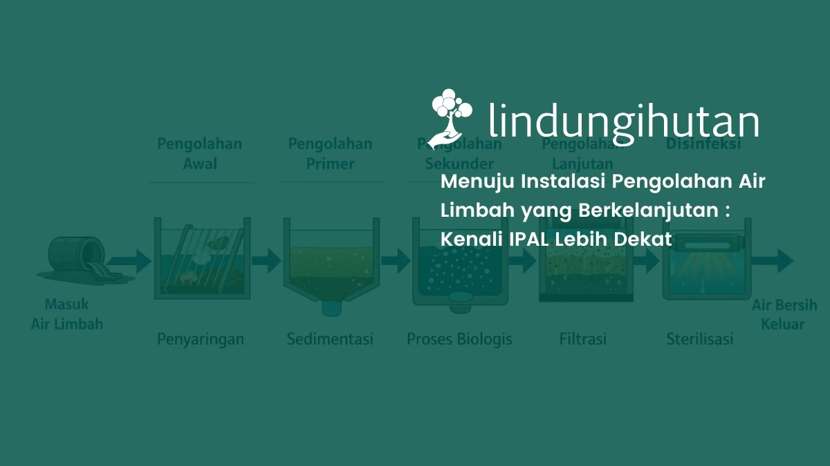 Instalasi Pengolahan Air Limbah (IPAL): Fungsi, Jenis, dan Manfaatnya bagi Perusahaan