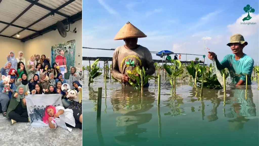 Hihang Hoheng SKZ Rayakan 8th Anniversary Stray Kids dengan Menanam Mangrove di Pantai Mangunharjo Semarang 83 penanaman pohon hihanghoheng skz lindungihutan